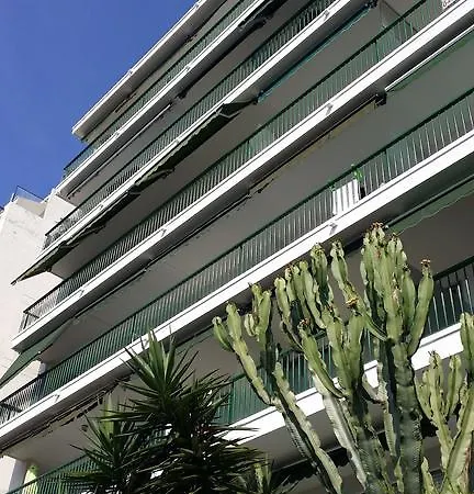 St George * Nice